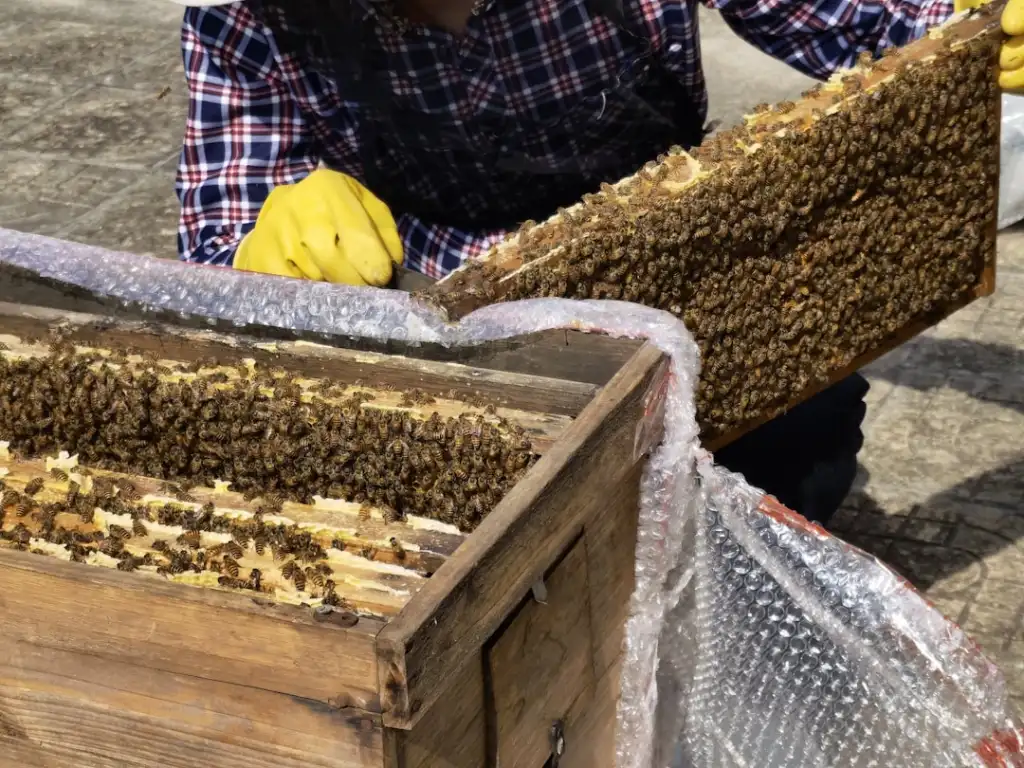 常州地区车辆养护:变速箱油更换周期与选型技术要点分析
